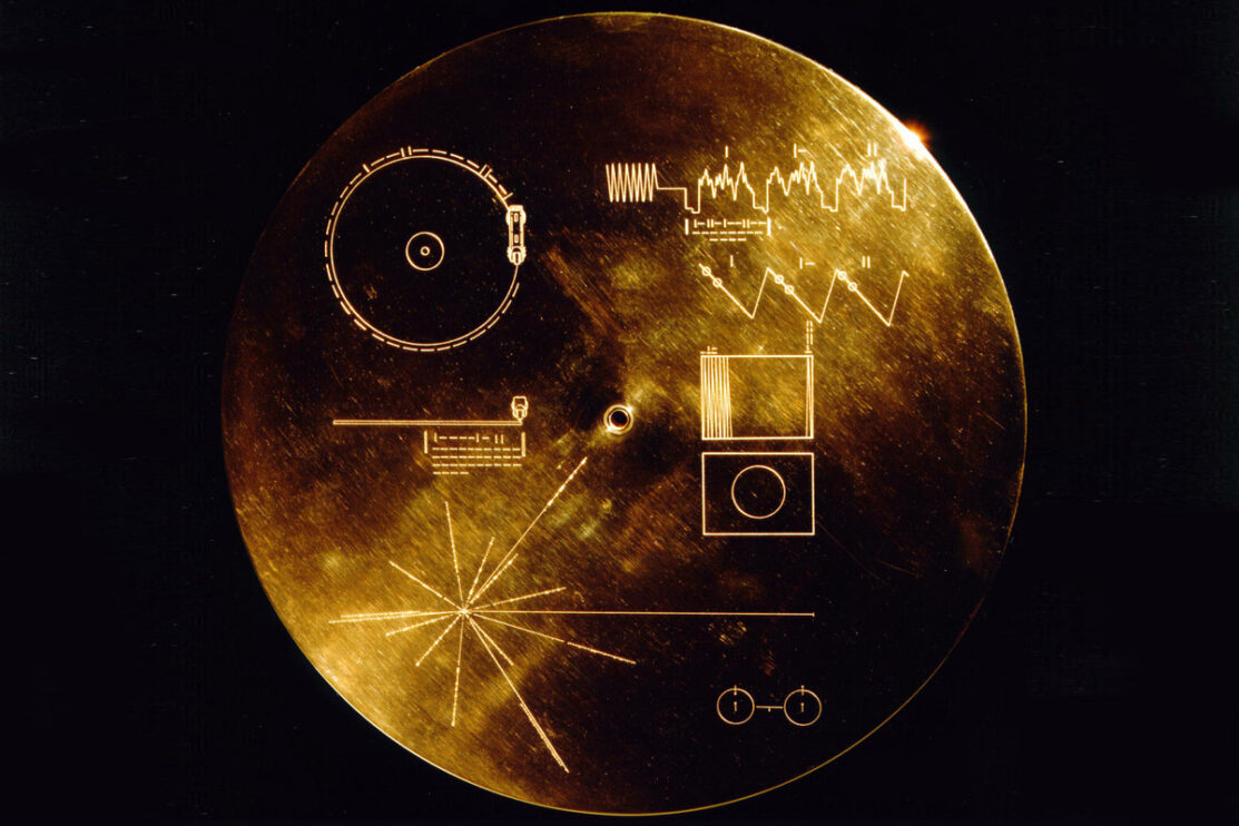 Das Geschäft, das Vinyl am Leben hielt