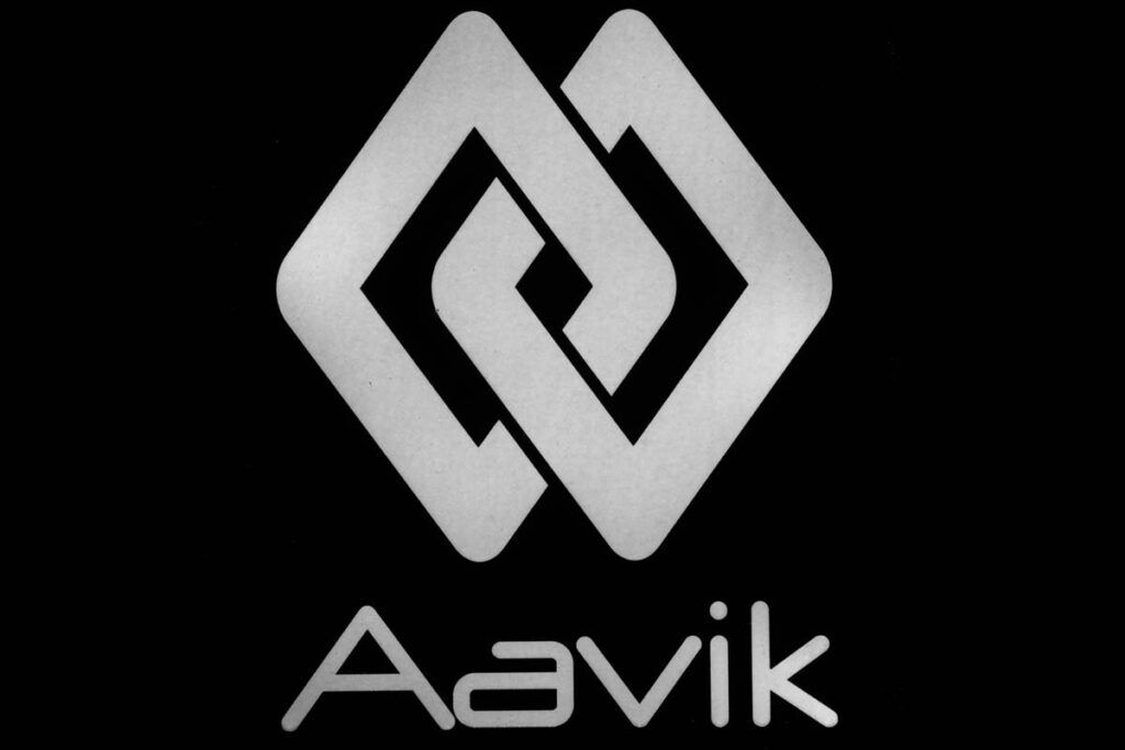 aavik-sd-880-11